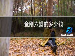 金刚六瓣的多少钱