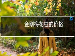 金刚梅花桩的价格