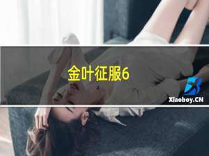 金叶征服6.2箭价格