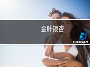 金叶银杏
