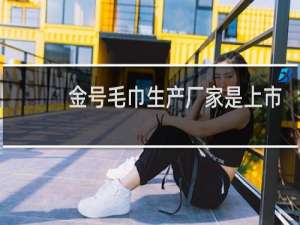 金号毛巾生产厂家是上市公司吗
