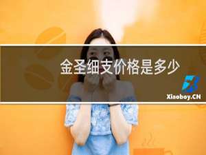 金圣细支价格是多少