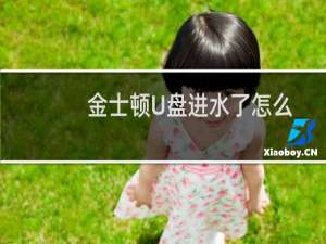 金士顿U盘进水了怎么办