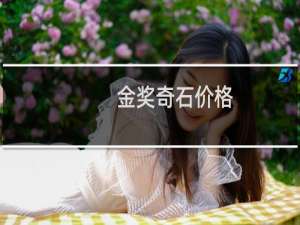 金奖奇石价格
