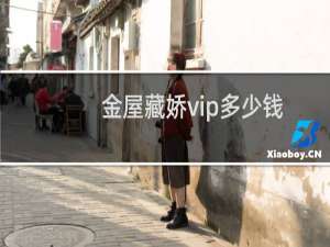 金屋藏娇vip多少钱