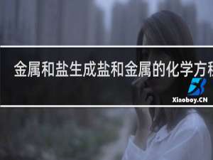 金属和盐生成盐和金属的化学方程式