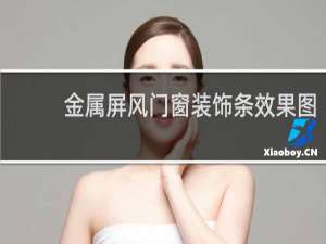 金属屏风门窗装饰条效果图