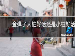 金弹子大桩好活还是小桩好活