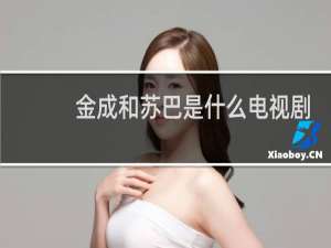 金成和苏巴是什么电视剧
