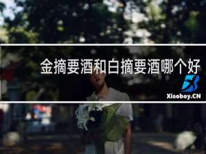 金摘要酒和白摘要酒哪个好