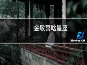 金敏喜啥星座