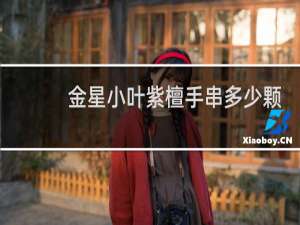 金星小叶紫檀手串多少颗