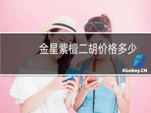 金星紫檀二胡价格多少