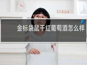 金标袋鼠干红葡萄酒怎么样
