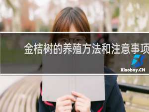 金桔树的养殖方法和注意事项