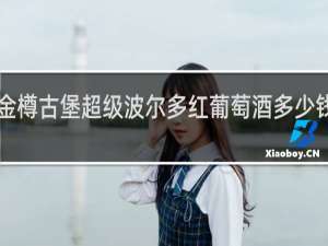 金樽古堡超级波尔多红葡萄酒多少钱2019