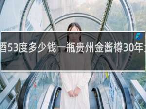 金樽酒53度多少钱一瓶贵州金酱樽30年大师甄品版