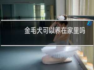 金毛犬可以养在家里吗