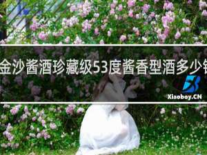 金沙酱酒珍藏级53度酱香型酒多少钱一瓶