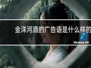 金洋河酒的广告语是什么样的