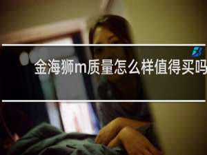 金海狮m质量怎么样值得买吗