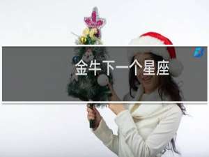 金牛下一个星座