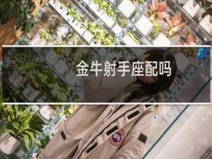 金牛射手座配吗