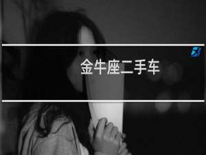 金牛座二手车