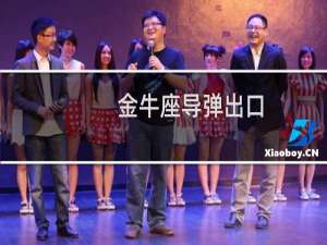金牛座导弹出口