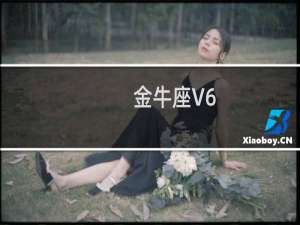 金牛座V6