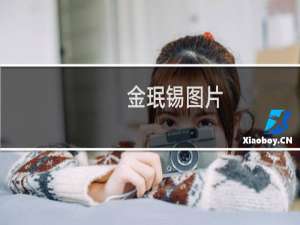 金珉锡图片