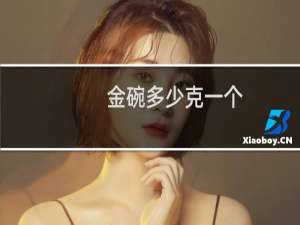 金碗多少克一个