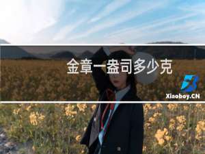 金章一盎司多少克