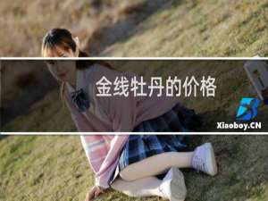 金线牡丹的价格