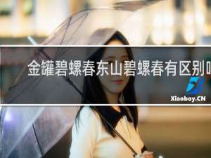 金罐碧螺春东山碧螺春有区别吗