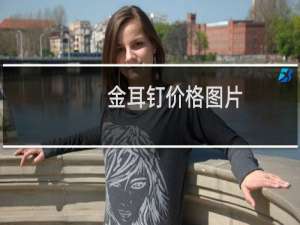 金耳钉价格图片