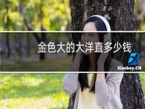 金色大的大洋直多少钱