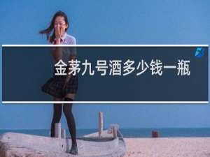 金茅九号酒多少钱一瓶