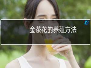 金茶花的养殖方法