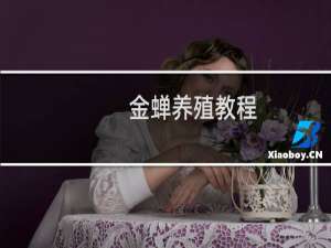 金蝉养殖教程
