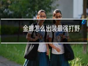 金蝉怎么出装最强打野
