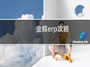 金蝶erp攻略