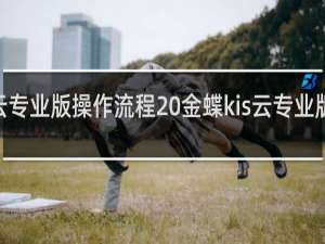 金蝶kis云专业版操作流程 金蝶kis云专业版操作步骤详解