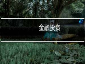 金融投资
