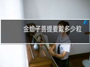 金蟾子菩提要戴多少粒