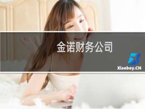 金诺财务公司