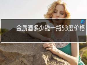 金质酒多少钱一瓶53度价格