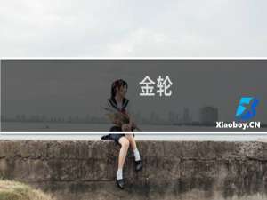金轮 为什么大司马叫金轮什么梗