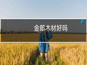 金郎木材好吗