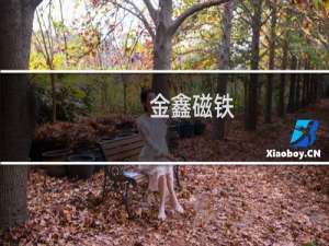 金鑫磁铁